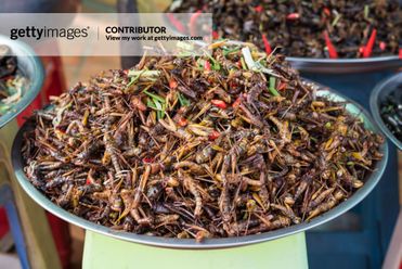 Fried crickets on sale at market stall, Skuon