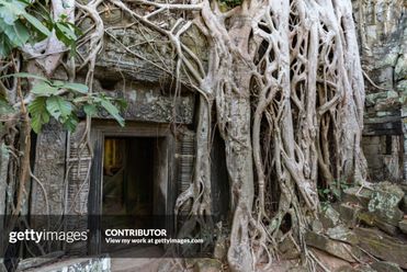 Overgrown doorway at Ta Prohm Temple