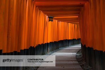 Torii gates of Fushimi Inari